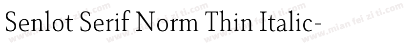 Senlot Serif Norm Thin Italic字体转换